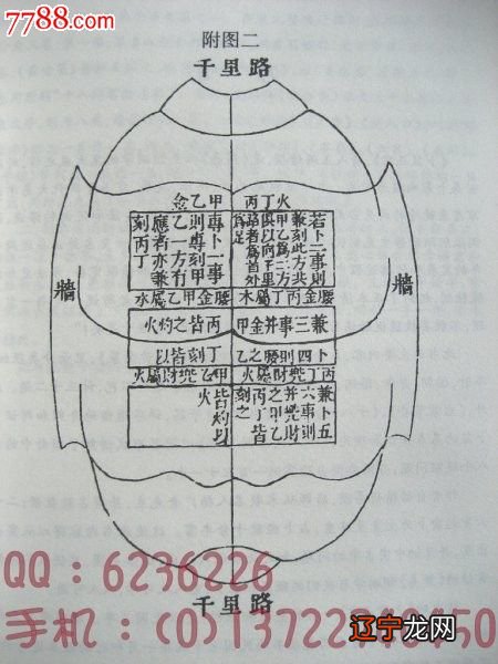 新派命理和传统命理哪个准_传统命理学书籍_命理风水书籍大全