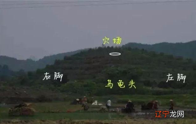 风水堂:八字阴宅在官杀，说明祖坟已分家