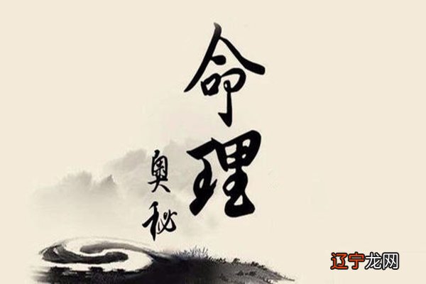 辛已日柱看2019年运势_八字日柱看2015年运势_庚申日柱看2019年运势