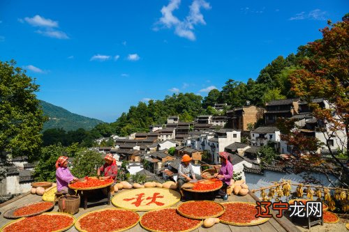 秋天的民俗活动_西安春节民俗活动_湖南卫视女主持人参加民俗活动