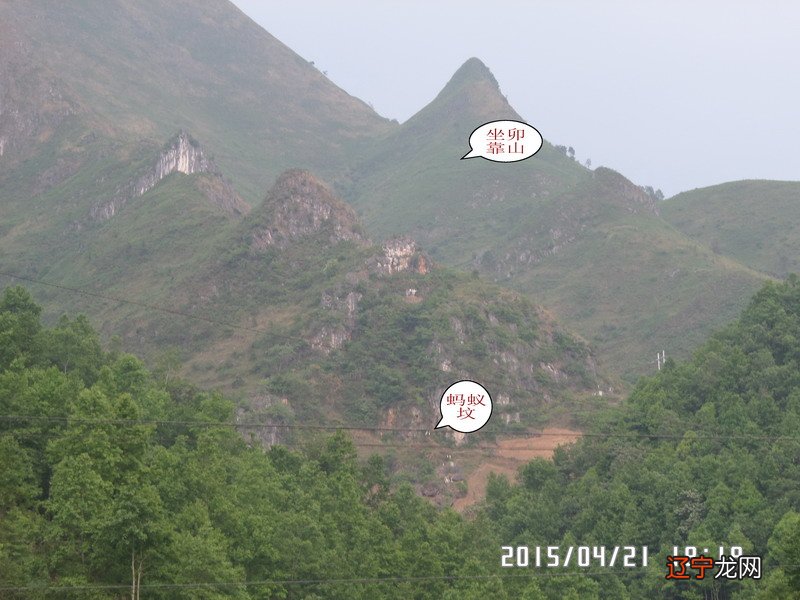 用蛇皮包风水禁忌_蛇在风水中有什么讲究_风水学之蛇地