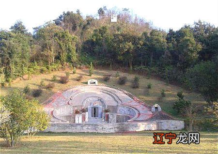 蛇地风水出什么样的人_看到蛇在树上风水_风水学之蛇地