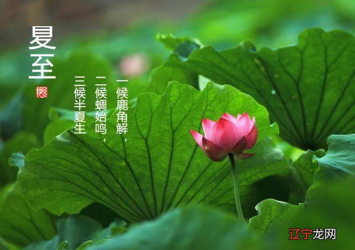 赤城春节民俗活动_春节民俗活动有哪些_夏至的民俗活动