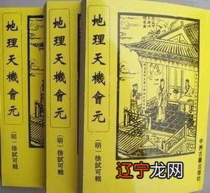 1 【每日一题】一个八字命理学者的个人空间