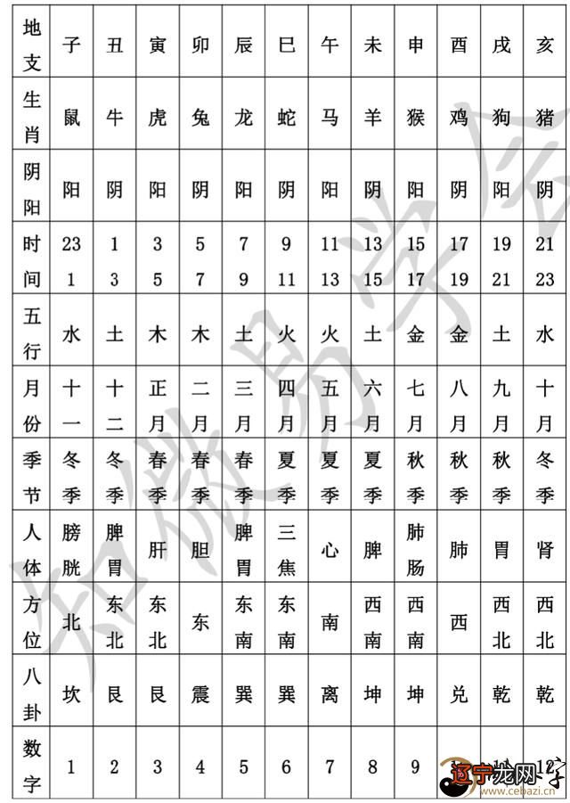 大富和巨富的八字_八字月酉冲日卯代表什么_甲日卯月大富八字