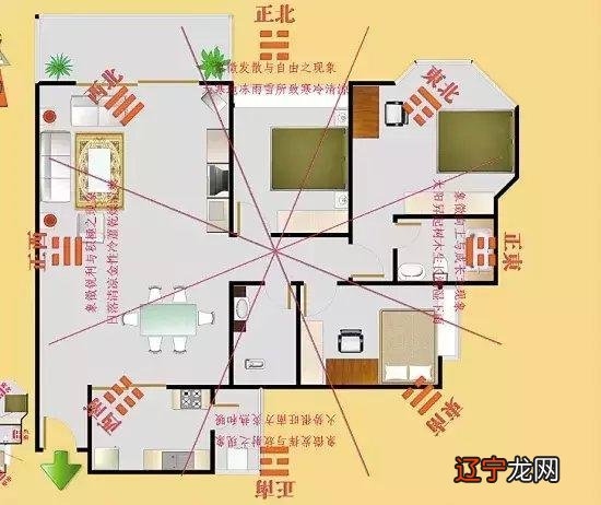 大学里有易经风水命理的专业吗?_易经命理师兼职_邯郸专业易经风水培训机构