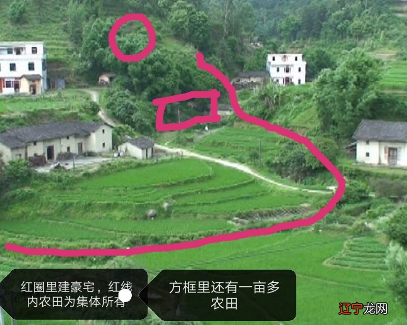 好风水后院平面图_建后院的风水学_风水大师萧知建