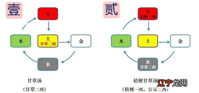 【李向东】中医的组成与剂量初探，值得收藏！