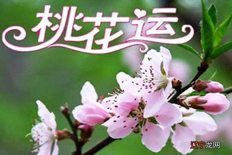 八字看桃花运势_八字看桃花煞_八字看桃花运势