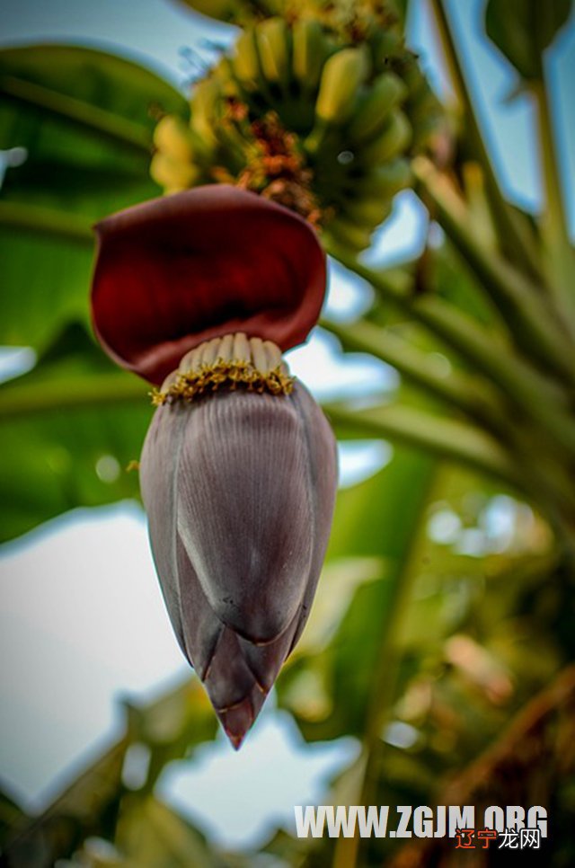 梦见钓鱼,说明你会有大笔进项!你知道吗?