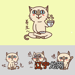 组图 做梦梦见猫吃蛇没吃了做这梦好吗?