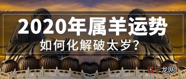 1965年属什么生肖啥命_12岁属猪本命年戴什么生肖_2013年属什么生肖啥命