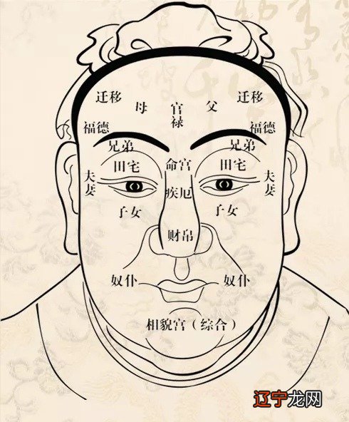 体态端庄相貌堂堂构造简单仿写_女性体态相学_人体使用手册系列一：体态决定你的健康