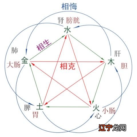 象数风水学_周易象数预测学_学象数看什么书