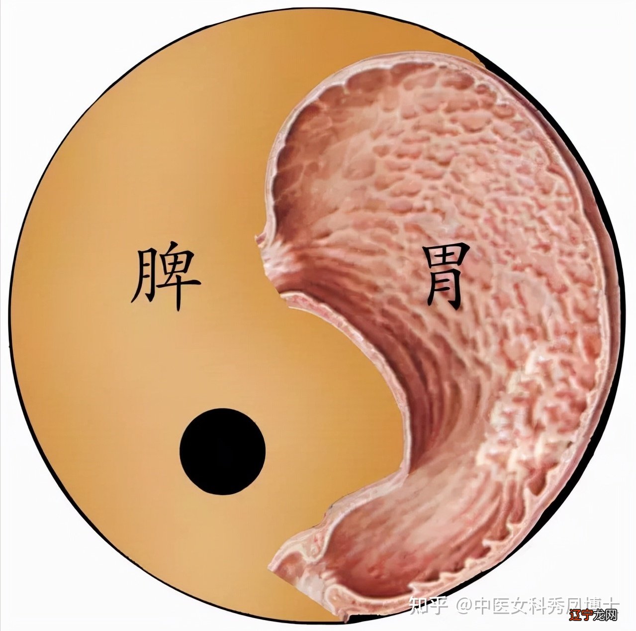 御女术之阴阳双修图片_阴阳鬼术_阴阳术数有什么用