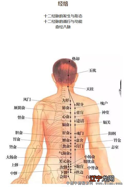 周易基础之八卦初级知识入门_周易八卦入门易林_铁傀王八卦牌和御龙林英雄八卦牌