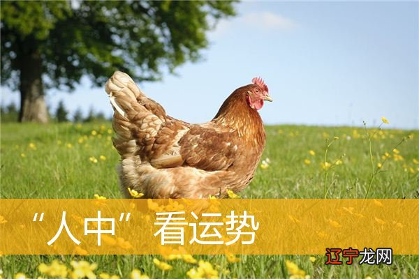 【李向东】人鼻尖上面的那条小沟!太准了!