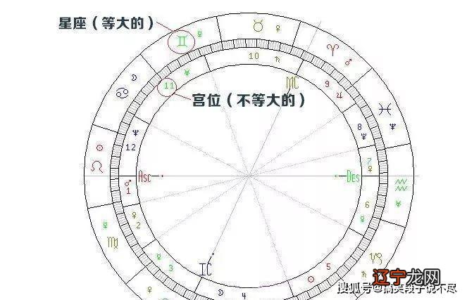 2019年运气最好的生肖_2019年属猪生肖运气_2019年73年属牛人运气