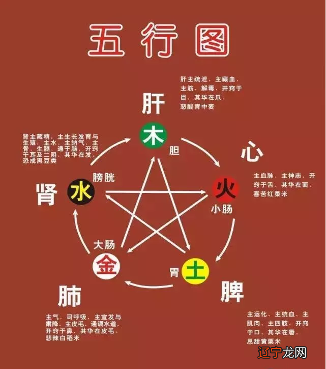 命理八字精确分析_宝宝五行八字命理分析_八字命理之五行属火的部首