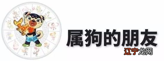 香港七星堂：生肖狗女命今年财运旺的四大凶运