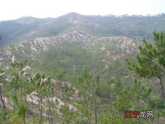 给老人买墓地如何选风水_选墓地的风水学_济南风水大师水正海专业墓地风水