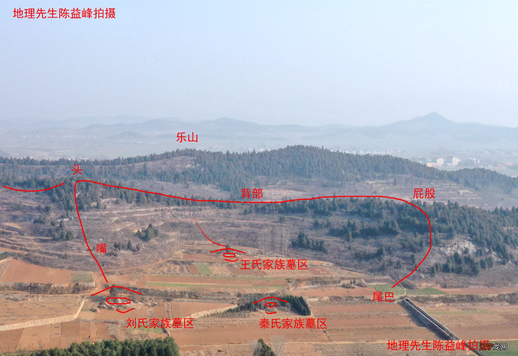 相学入门指要_周易相学入门txt百度云_手相学入门