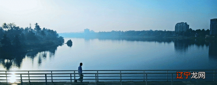 风水大师陈朗先生_陈朗风水大师怎么算命_风水大师陈朗讲解八字