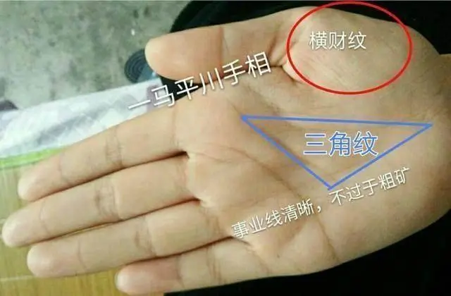 女人哪个手相是儿女线_手相学是什么_女人手相是右手为准吗