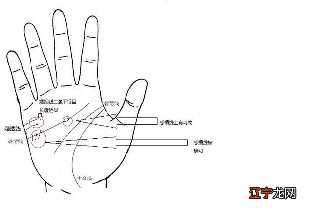 女人哪个手相是儿女线_手相学是什么_女人手相是右手为准吗