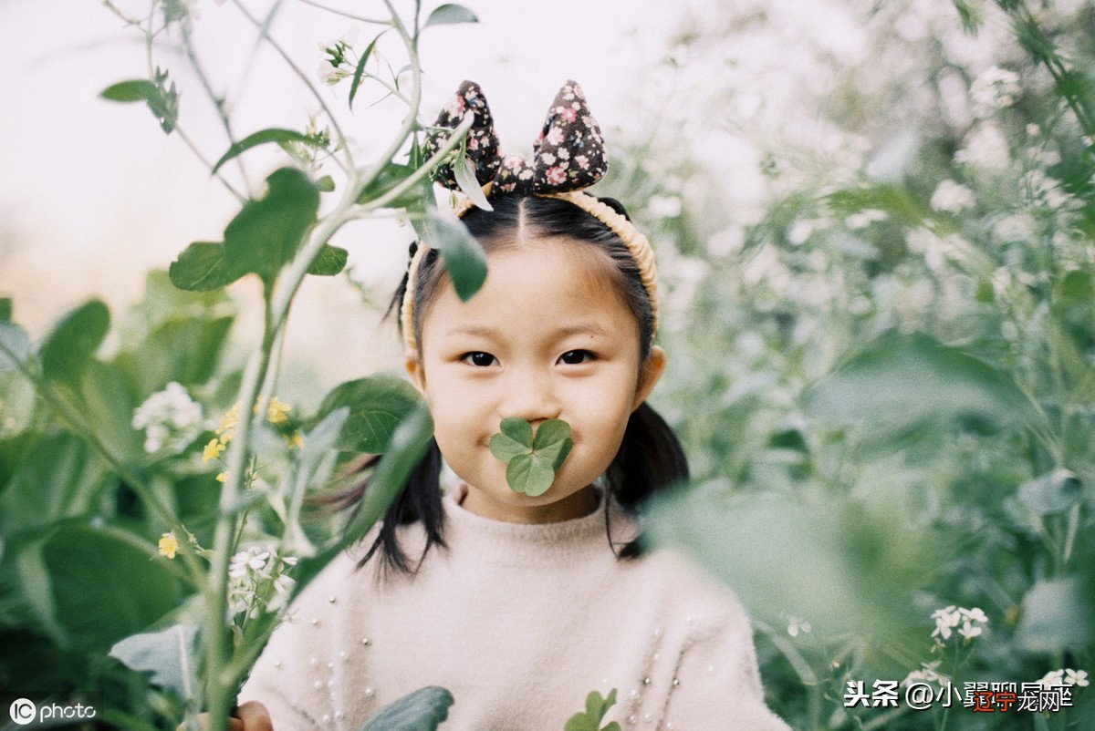 玫瑰都带刺，越迷人越危险的三大星座女，举手投足是优雅