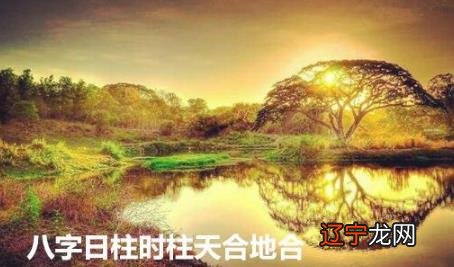 八字日柱时柱天合地合