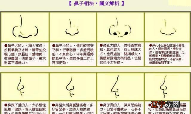 健康之路从五官看健康_怎么看五官运势_看五官相面