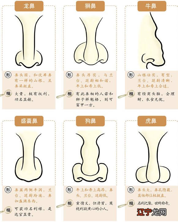 怎么看五官运势_看五官相面_健康之路从五官看健康