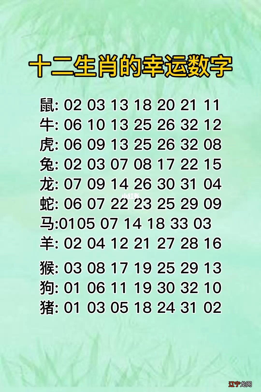 2019年属猪的五行属什么生肖_45数字五行属什么生肖_1945年属什么生肖五行