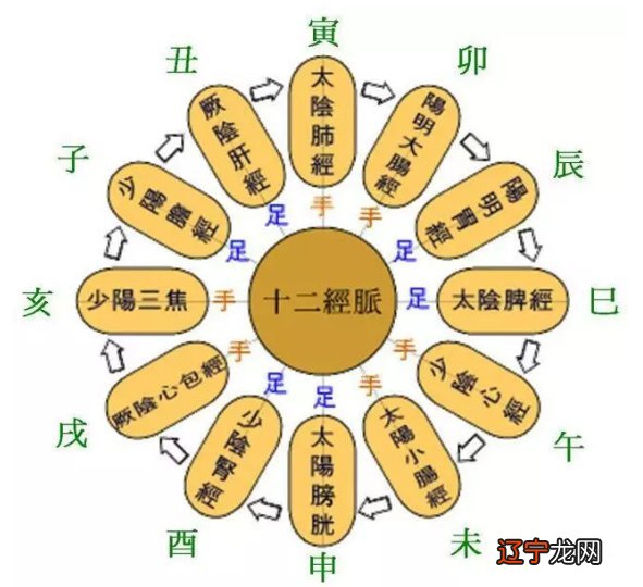 【李向东】五行学说的实质五行变化，值得收藏！