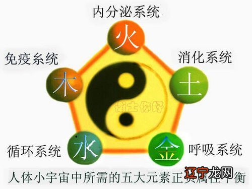 【李向东】五行学说的实质五行变化，值得收藏！