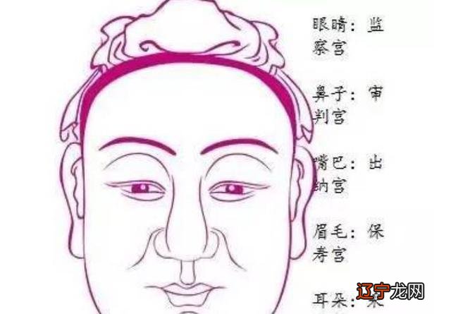 周易相学入门在线阅读_相学入门看什么书_会计入门看哪些书