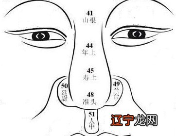 5.6万阅字体：来讲人的自我意识和脾气秉性都可以通过鼻子看出来