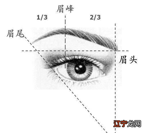 眉毛有疤痕影响运势吗_面相说眉毛运势_眉毛看几岁的运势