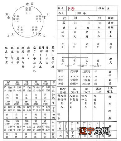 食伤旺无财星的八字_八字无财以食伤看妻_八字食伤旺无财