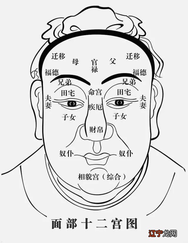 头骨相学十二起骨论法_牙齿相学_相学可信吗