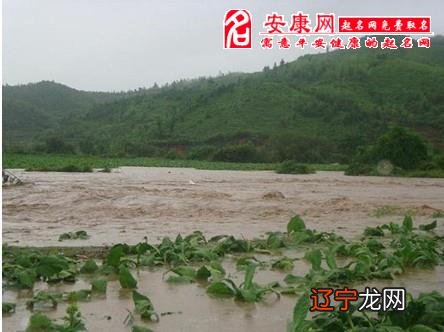 仙桃干河办红光社区_湖北仙桃市干河办事处_梦见河干了