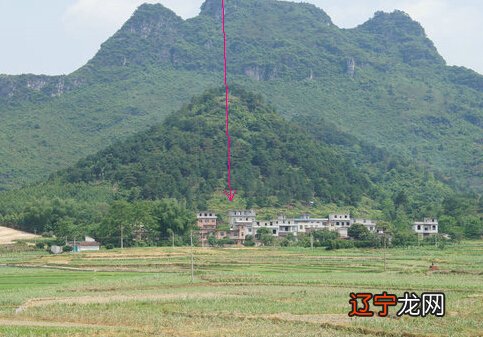 鸟巢贝子鸟学红字囗大叫_不知为什么有时往肚里烟囗水_什么叫水囗 风水学里的解释