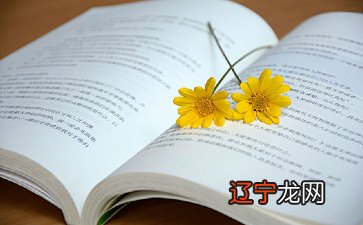 家乡的风俗作文【精选10篇】