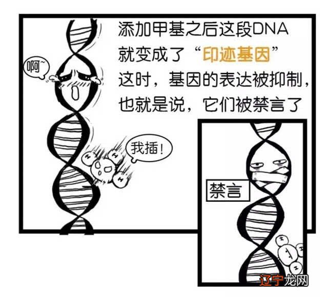 面相学有科学依据吗