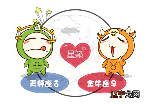 12星座是什么象星座_活的象猪一样的星座_星座火象水象