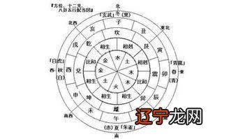 Q3八字有没有官运食神制杀格有官有人当官司