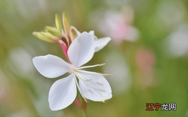 阳宅风水集成-风水八字同城网