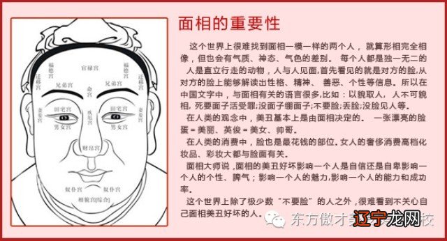 男人五官帅不帅看哪里_面诊五官看健康_怎么看五官运势