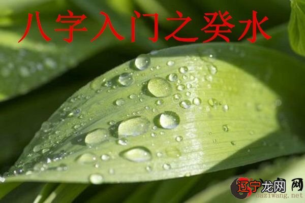 八字入门之癸水日干如何取格局